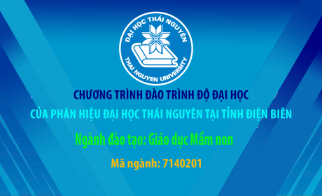 Chương trình đào tạo trình độ Đại học - ngành Giáo dục Mầm non của phân hiệu Đại học Thái Nguyên tại tỉnh Điện Biên